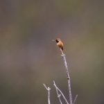 揭秘澳门十大信誉平台网站的筛选标准与安全要点 sxhh9eioe3