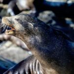 2025年3d游戏第098期开奖号码结果查询 25w103zbf0