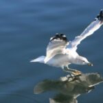 2025年3d开奖结果265期最新开奖号码精准公布 2jlmgmjzr