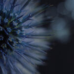 2025年3d开奖结果最新公布与历史数据分析 61q8zz