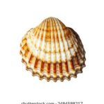 2025年3D彩票全年开奖结果完整记录与查询 6zdni79