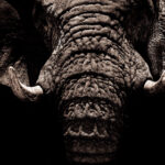 202582期开奖结果公布最新中奖号码查询 as0o5m