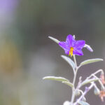 2025年3d开奖结果第119期最新公布完整版 cxwa213a9