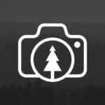 2025年3d开奖号码最新公布与完整历史记录查询 lampums