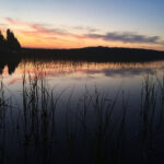 2025年3D彩票全年开奖号码与试机号完整记录大全 lis55gt853