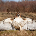 2025全年开奖资料完整版最新大合集 mq95mkwq5q