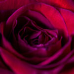 202587期彩票开奖结果查询与最新公布详情 n1h9pgrcap