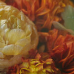 F1直播吧:极速狂飙,尽享全球顶级赛事激情盛宴! uxwe9