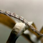 2025年3D福彩开奖结果最新公布与走势分析 zi4qn2q